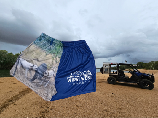 Gulf Luggers - Navy Blue