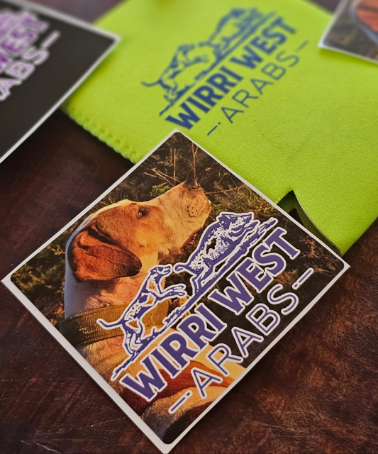 Kujo Sticker
